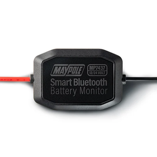 Monitor intelligente della batteria Bluetooth