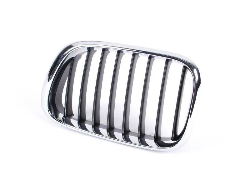 Rejilla de adorno delantero izquierdo OEM 51138402645 para BMW X5 (E53). Original BMW.