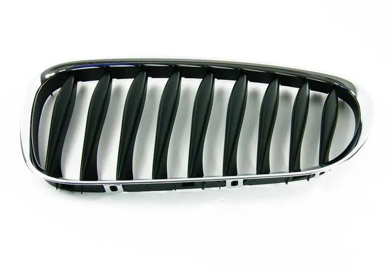 Rejilla de adorno izquierda OEM 51137051957 para BMW Z4 E85, E86. Original BMW.