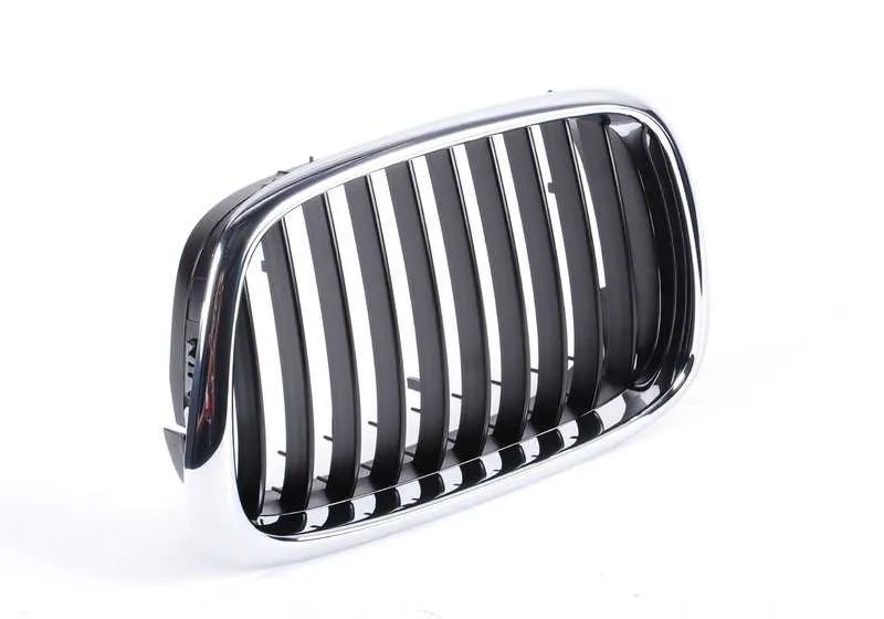 Rejilla de adorno izquierda OEM 51137005837 para BMW Serie 5 E39 520d, 520i. Original BMW.
