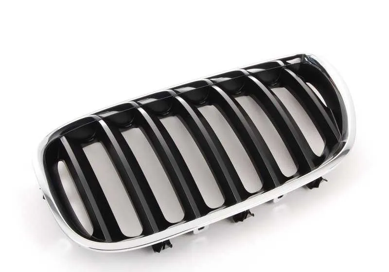 Rejilla de adorno delantera izquierda OEM 51137113733 para BMW X5 E53. Original BMW.
