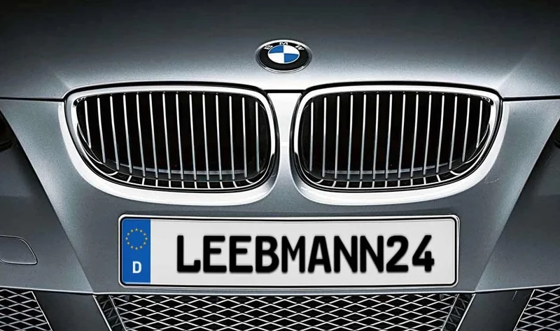 Rejilla decorativa delantera izquierda OEM 51137294803 para BMW Serie 3 F30, F31 (2013-2021). Original BMW.