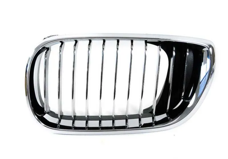 Rejilla de adorno izquierda OEM 51137042961 para BMW Serie 3 E46 (06/1998 - 07/2005). Original BMW.