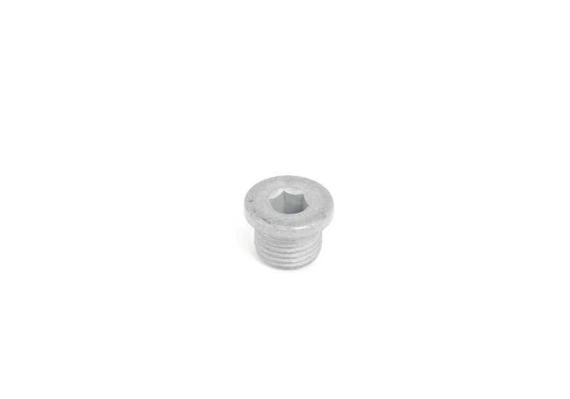 Tornillo de cierre OEM 07119902292 para motos BMW R1200GS, R1250GS, R nineT... y más. Original BMW Motorrad.