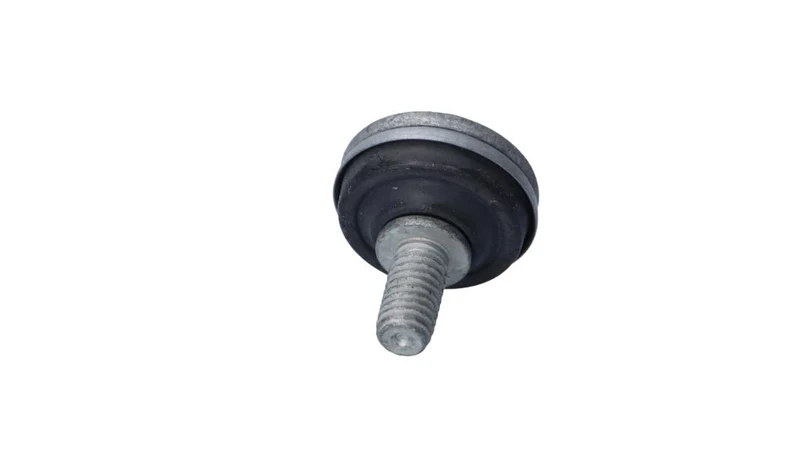 Tornillo Isa con casquillo OEM 11128520212 para motos BMW S1000RR, F750GS, F850GS, M1000RR... y más. Original BMW Motorrad.