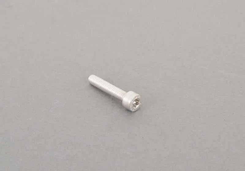 Tornillo Torx M5X25 OEM 07129900395 para motos BMW R nineT, F 800 GS Adventure, C evolution... y más. Original BMW Motorrad.