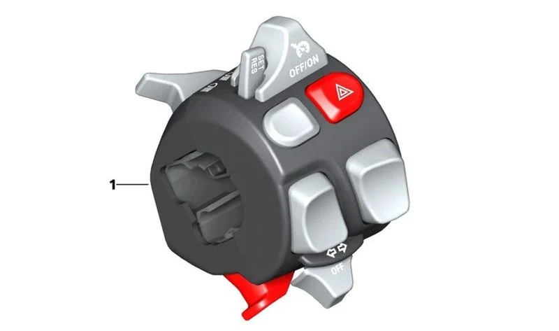 Interruptor combinado izquierdo OEM 61318549925 para motos BMW R 1200 GS, R 1200 R, S 1000 XR... y más. Original BMW Motorrad.