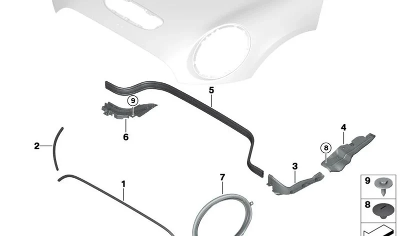 Alojamiento junta capó delantero derecho OEM 51767300562 para MINI F55, F56, F57... y más. Original MINI.